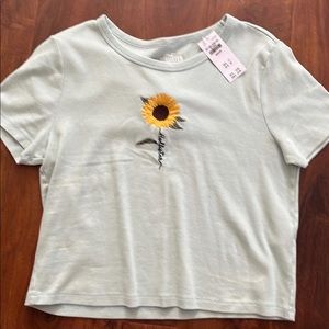 Hollister cropped baby tee